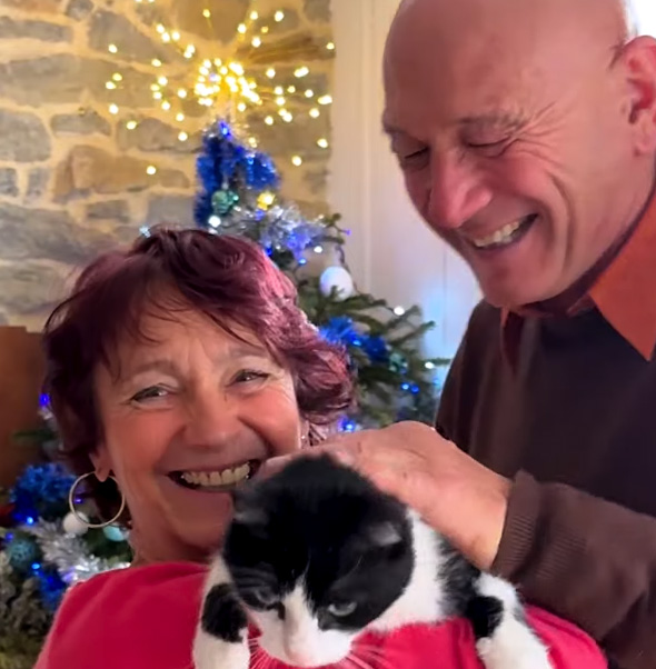 Потерявшийся в поездке кот вернулся домой через 5 месяцов. Он самостоятельно прошел 250 км до дома