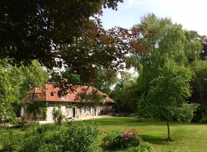 Неприхотливые декоративные кустарники в ландшафтном дизайне: фото и описания (56 фото)