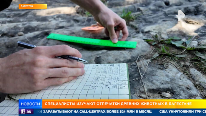 Уникальные останки динозавров найдены в Дагестане