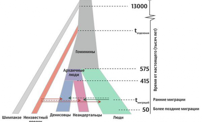 В геноме человека нашли следы неизвестного ранее вида людей. Ученые предполагают, что этот вид исчез 43 тысячи лет назад