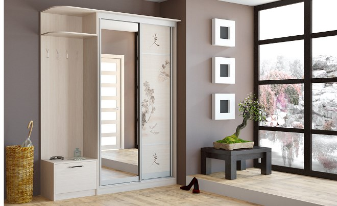 Шкаф-купе в интерьере: разновидности и особенности дизайна (104 фото)