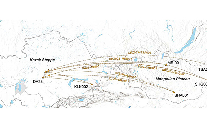 Генетическое исследование показало, что около 8% мужчин на Земле происходят от одного предка