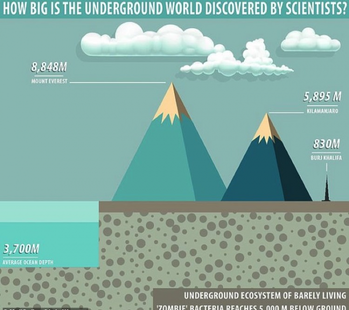 В недрах Земли найдена подземная живая экосистема. Количество организмов в ней больше, чем обитает на поверхности планеты