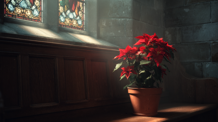 Рождество у христиан: почему одни празднуют 25 декабря, а другие – 7 января