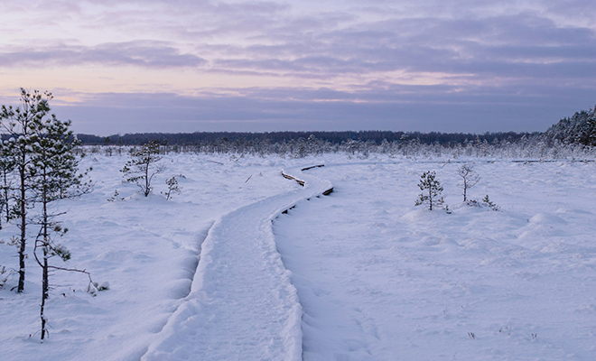 Люди на Севере оставляют воду на морозе и ждут, пока она замерзнет. Она очищается без фильтров