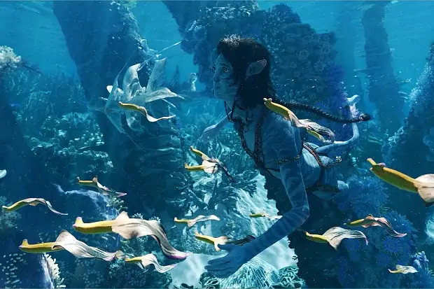 Фильм «Аватар 4», 2029 год: что известно о четвертой части саги Джеймса Кэмерона