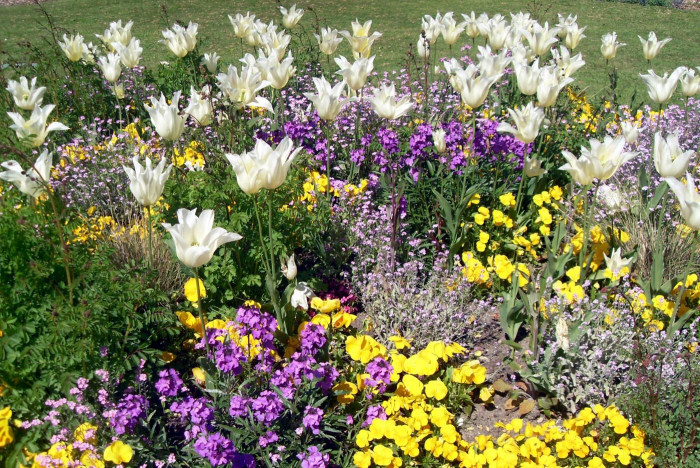 Клумба для дачи: как своими руками создать цветочный оазис (60 фото)