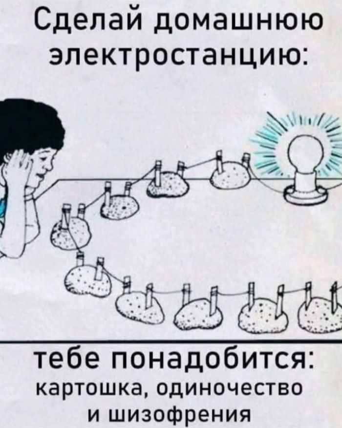 Прикольные картинки с надписями и лишнее внимание от домашних