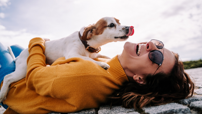 Почему иногда кажется, что животные нас понимают