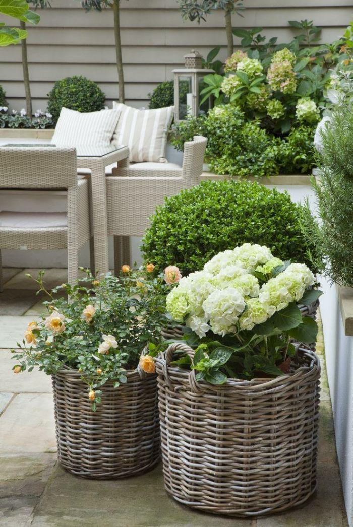 Клумба для дачи: как своими руками создать цветочный оазис (60 фото)