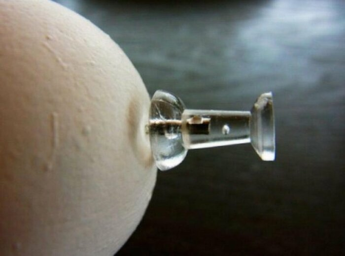 Как варить свежие яйца, чтобы они легко чистились: лайфхак от советских поваров