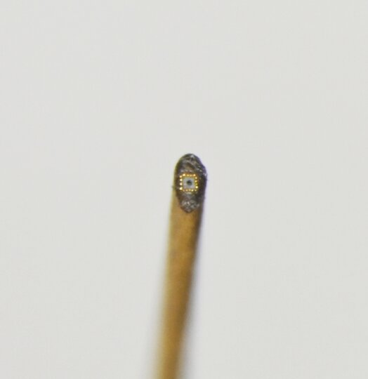 В Петербург привезли картину, написанную на срезе человеческого волоса