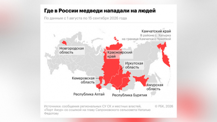 Где медведи нападают на людей в России: опубликована карта