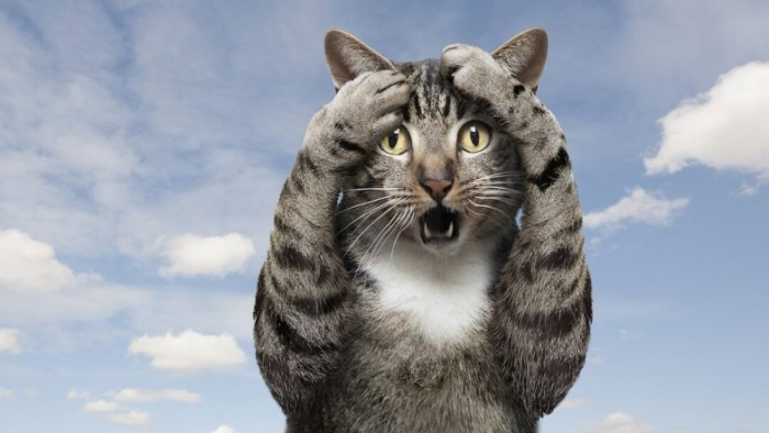 Гороскоп на среду, 10 декабря