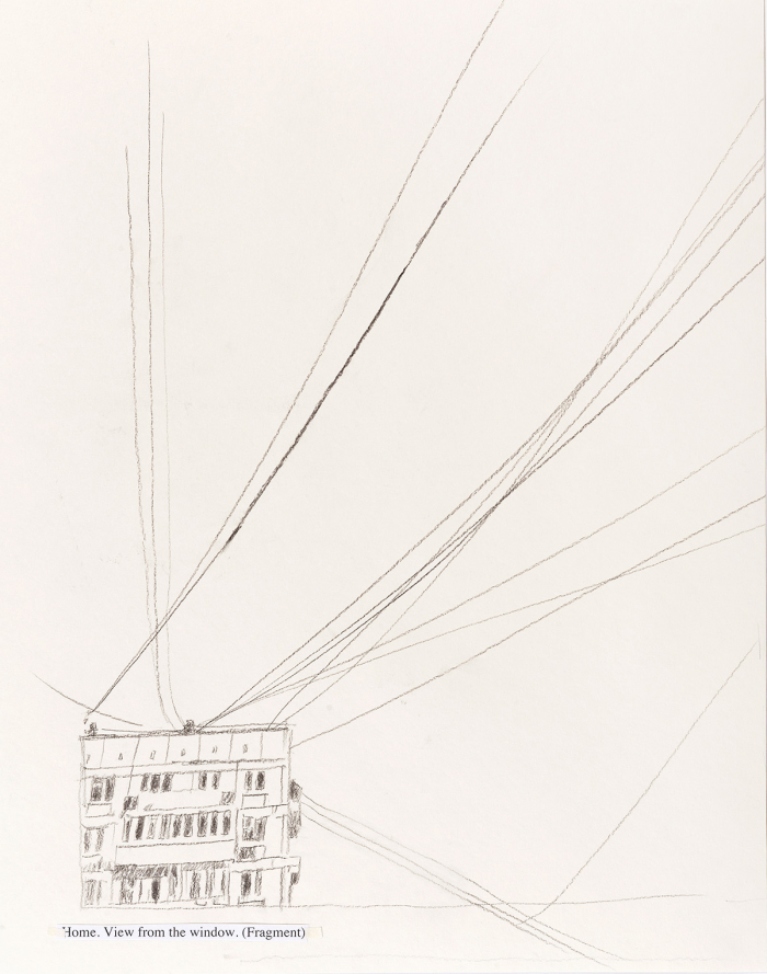 Рисунок как способ наблюдения: какой получилась выставка «С листа» Ольги Чернышевой