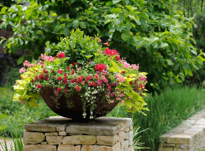 Клумба для дачи: как своими руками создать цветочный оазис (60 фото)