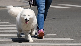 Такой день. Возвращение памятника Ленину и убийство Люцифера пилкой для ногтей