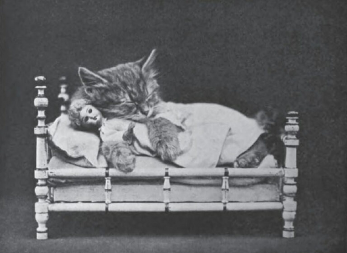 Почему сон на правом боку опаснее сна на левом боку