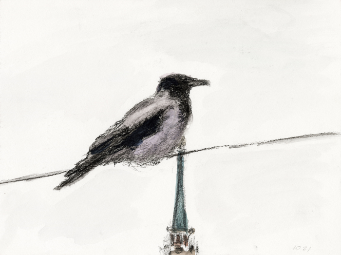 Рисунок как способ наблюдения: какой получилась выставка «С листа» Ольги Чернышевой