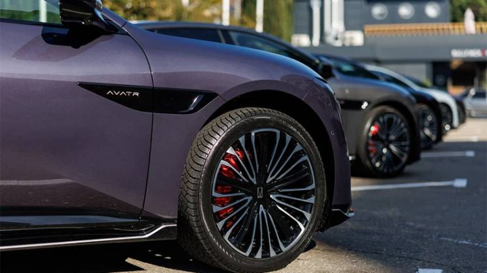 Второе «я» автовладельца