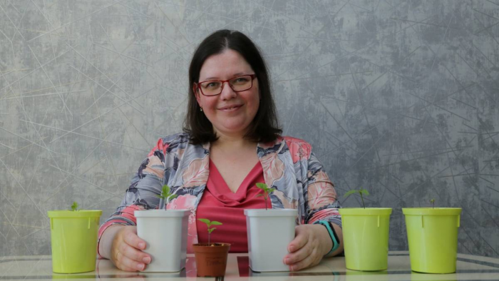 Клубничное дерево и арбузобанан: можно ли вывести необычные сорта фруктов и ягод