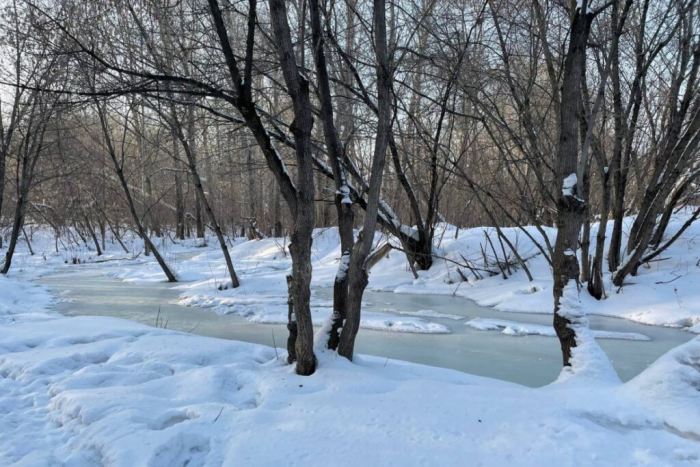 Секрет экономии на продуктах, подсмотренный в якутском дворе
