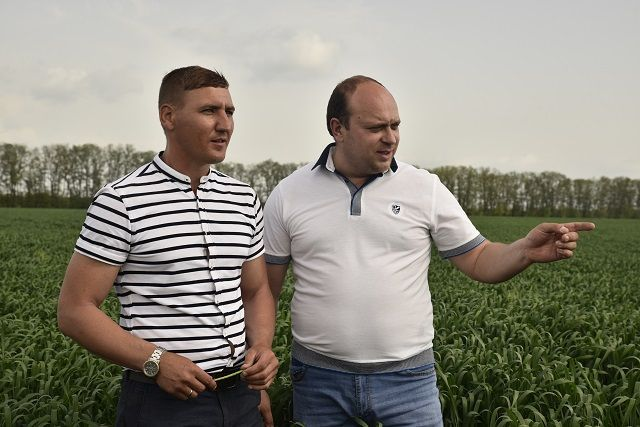 Кубань аграрная. Рентабельность превыше всего?