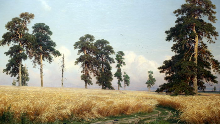 «Человек среди природы так мелок, так ничтожен»: выставка Ивана Шишкина в Русском музее