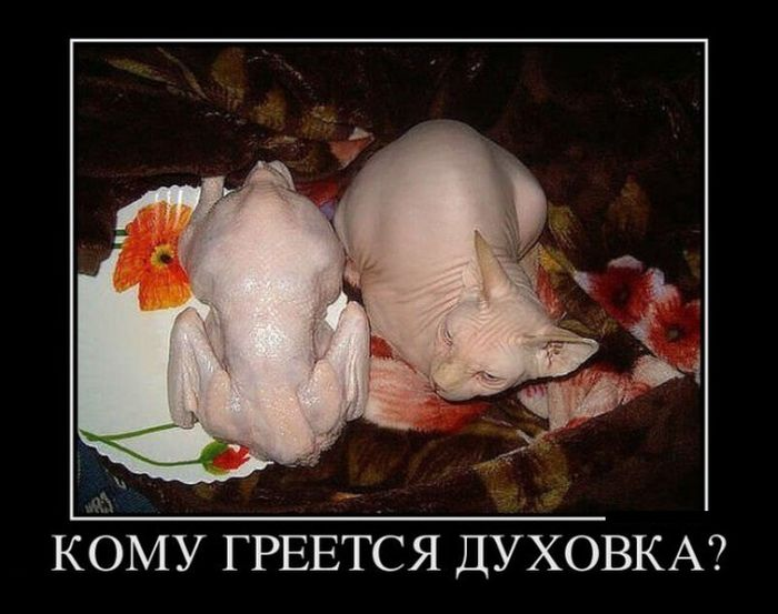 - Человек дал мне визитку: "Виталий Мусохранский". . И вот скажите, вы ведь фамилию тоже не с первого раза правильно прочитали? . .