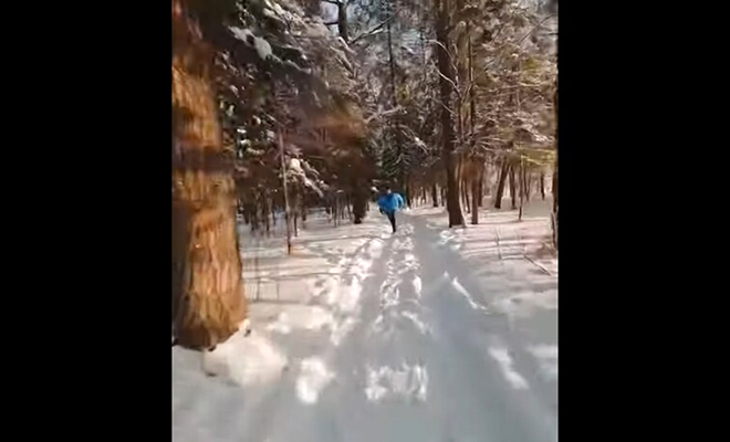 Оператор дрона снимал на видео зимний лес и случайно встретил туриста, которого преследовал медведь. Видео