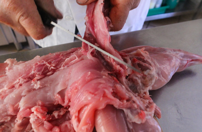 Как удалить из кролика все кости, сохранив цельной тушку