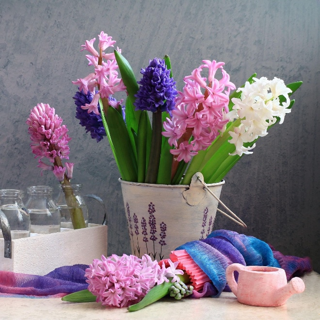 Цветы для спальни: на что обратить внимание при выборе (35 фото)