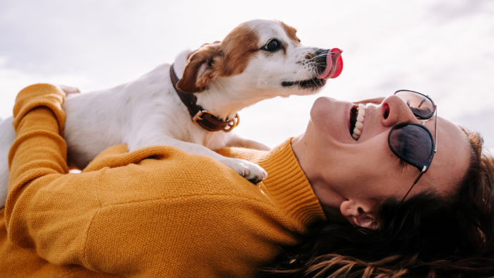 Почему иногда кажется, что животные нас понимают