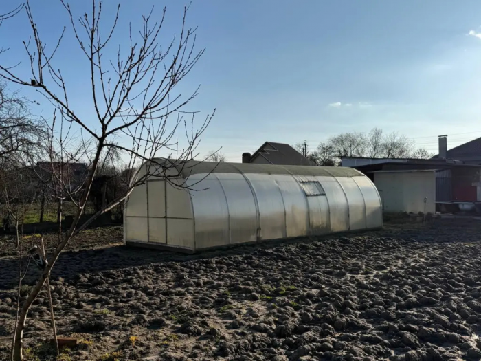 Навоз — прошлый век: мешаю рыбную муку с горчицей, и земля рожает как ненормальная без химии