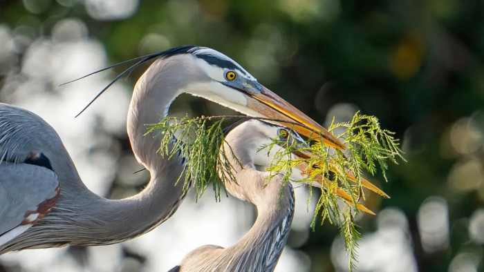 Пять верных признаков: как понять, что весна действительно пришла