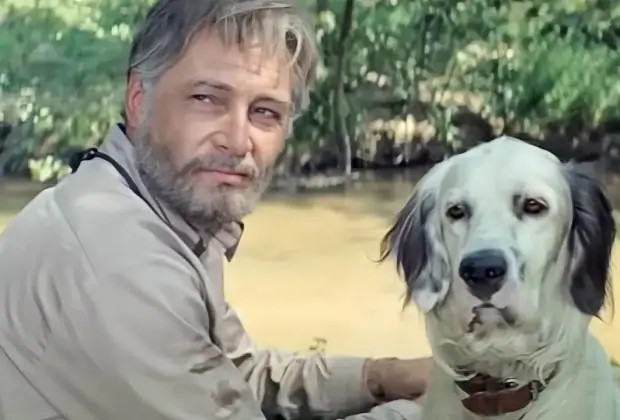 Лучшие фильмы про животных: 15 кинолент с высоким рейтингом