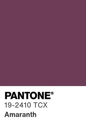 Цвет 2026 года по версии Pantone: какие цвета будут в тренде и как их носить?