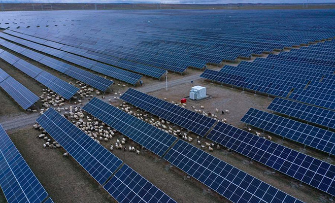 Солнечная электростанция в Китае изменила климат вокруг себя. В пустыне выросла трава и даже пришлось завести овец