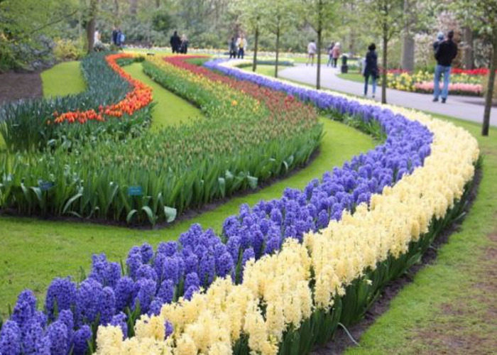 Клумба для дачи: как своими руками создать цветочный оазис (60 фото)