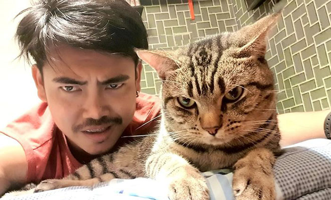 Мужчина установил камеру в спальне и увидел, что каждую ночь кот садится рядом с лицом и смотрит