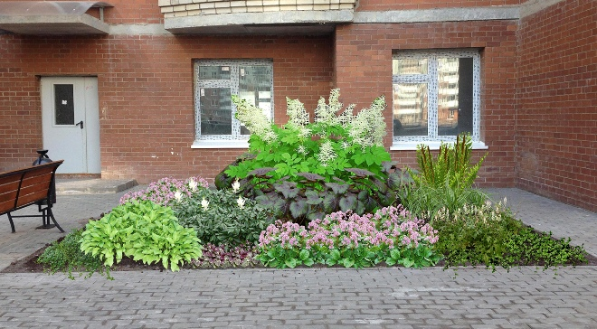 Палисадник перед домом: размер, стиль, выбор растений (80 фото)