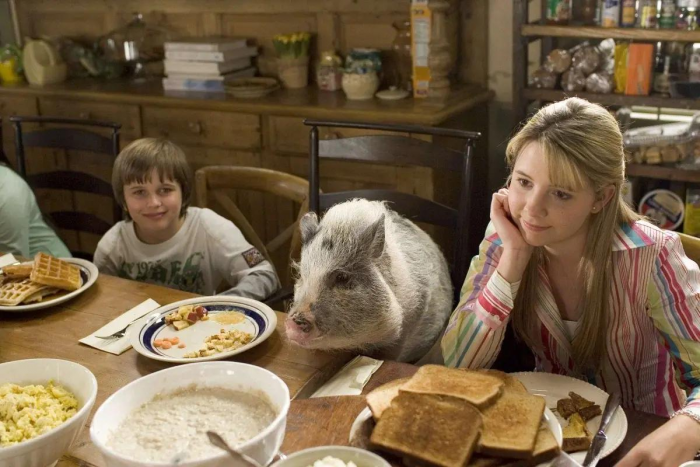 «Тебе жалко что ли?» и еще 5 фраз, которые не стоит говорить старшему ребенку