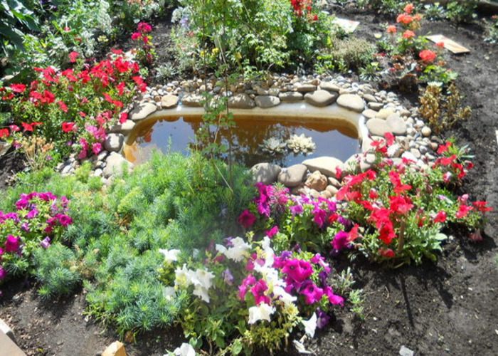 Клумба для дачи: как своими руками создать цветочный оазис (60 фото)