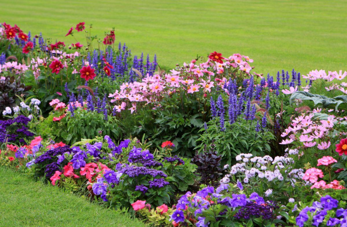 Клумба для дачи: как своими руками создать цветочный оазис (60 фото)