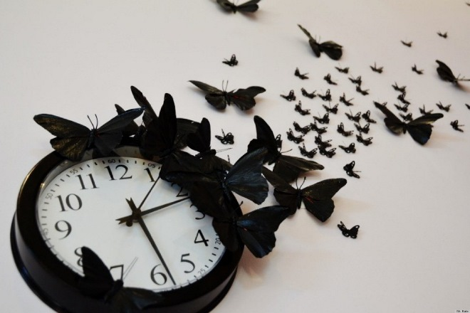 Бабочки для декора (75 фото)