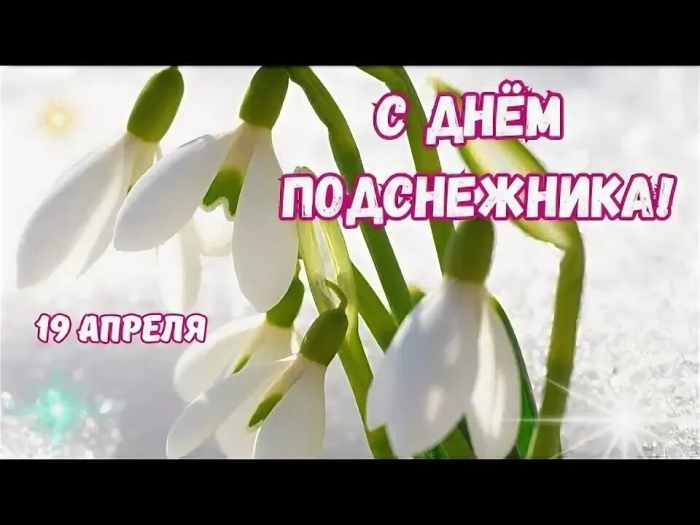 День подснежника