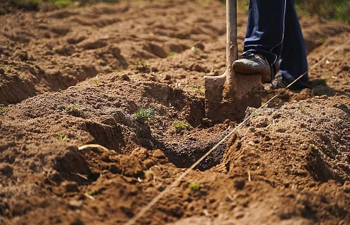 Какие садовые привычки давно пора оставить в прошлом