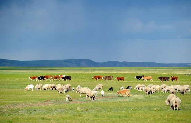 Где отдыхать в июле 2026 года? Лучшие направления в России и за границей