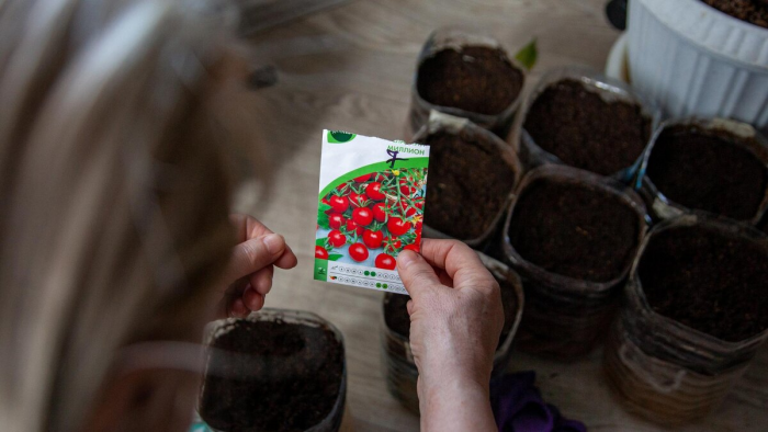 Как спланировать огород: севооборот, правильное соседство и требования растений