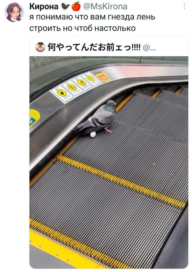 Интернет мемы в понедельник и ретроградный Меркурий